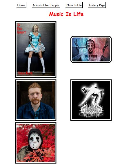 Web Design Project 2